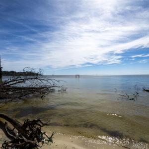 42-web-or-mls-DSC_8247