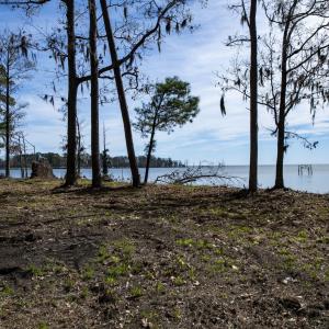 40-web-or-mls-DSC_8245