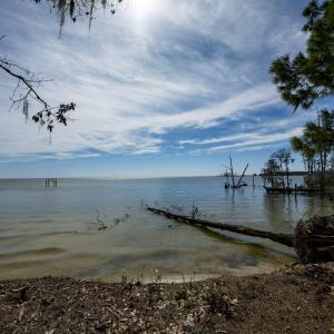 41-web-or-mls-DSC_8246