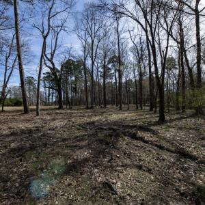 32-web-or-mls-DSC_8237