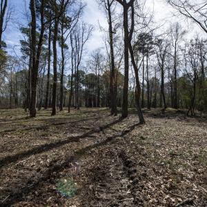 33-web-or-mls-DSC_8238