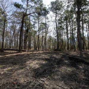 35-web-or-mls-DSC_8240