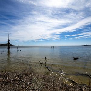 43-web-or-mls-DSC_8248