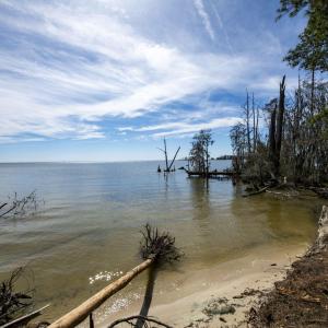 47-web-or-mls-DSC_8252