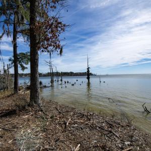 44-web-or-mls-DSC_8249