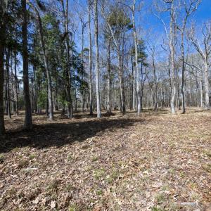 46-web-or-mls-DSC_8251