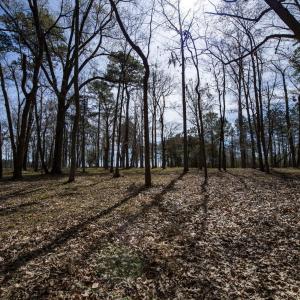 37-web-or-mls-DSC_8242