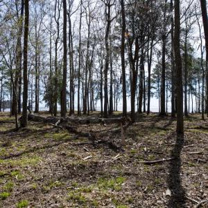 39-web-or-mls-DSC_8244