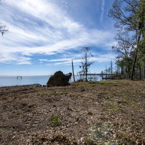 45-web-or-mls-DSC_8250