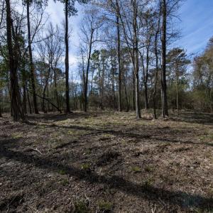 34-web-or-mls-DSC_8239