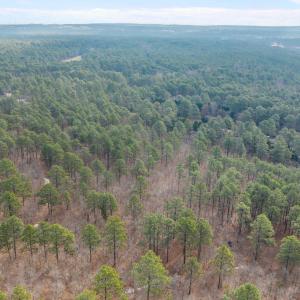 13-web-or-mls-DJI_20260310095525_0197_D