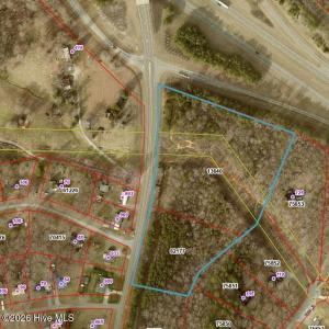 pineygrove aerial 2023