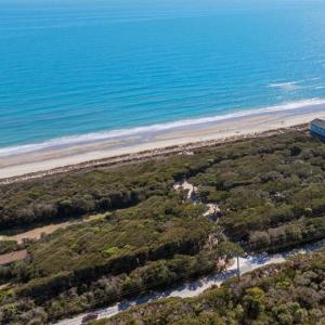 Drone Woods Ocean Angle Sth