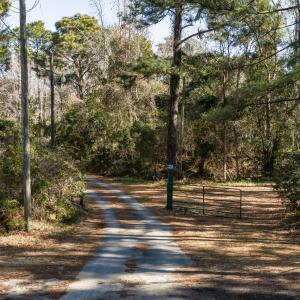 DJI_20260213103808_0141_D