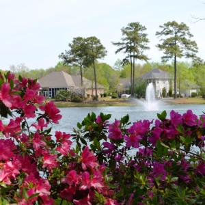 ORP fountain and azaleas