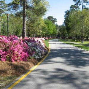 OR Entrance with Azaleas