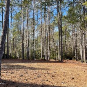 Lindgrove homesite Jan 25