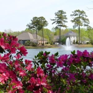 ORP fountain and azaleas