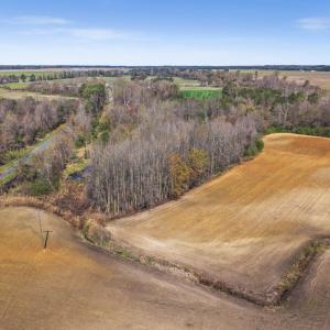 17-DJI_20260313110442_0075_D