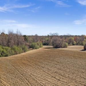 15-DJI_20260313111426_0105_D