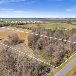 12-DJI_20260313111221_0096_D-Edit