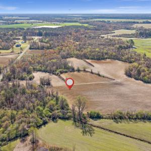 8-DJI_20260313110858_0087_D-Edit