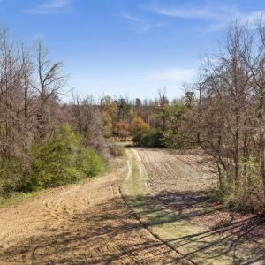 16-DJI_20260313111448_0108_D