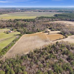 5-DJI_20260313110752_0084_D