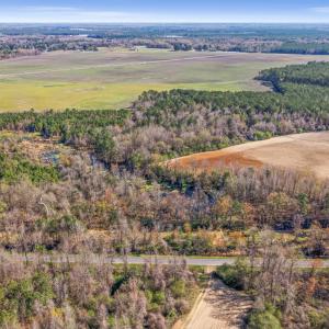 1-DJI_20260313105425_0048_D