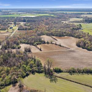 7-DJI_20260313110858_0087_D