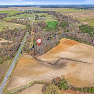 8-DJI_20260313105838_0057_D-Edit