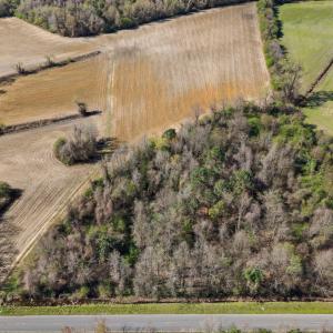 9-DJI_20260313111046_0090_D