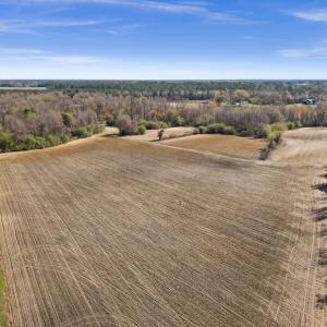 14-DJI_20260313111403_0102_D