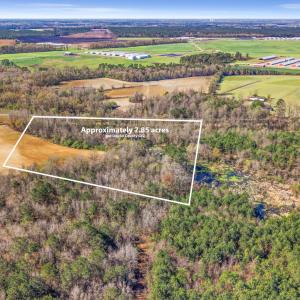 6-DJI_20260313105719_0054_D-Edit