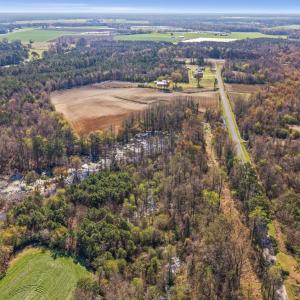 3-DJI_20260313105604_0051_D