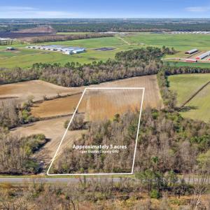 2-DJI_20260313110619_0078_D-Edit