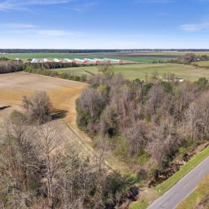 11-DJI_20260313111221_0096_D