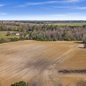 13-DJI_20260313111329_0099_D