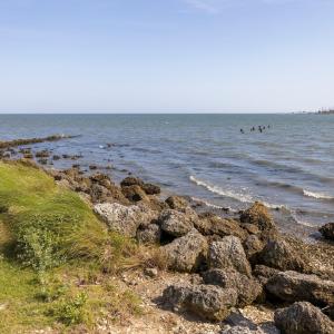 26-web-or-mls-_S3A0320