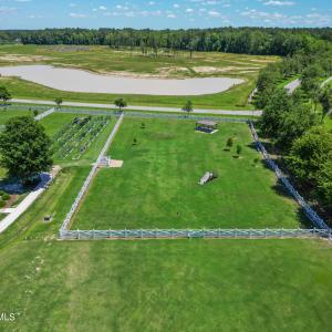 DogparkDrone1