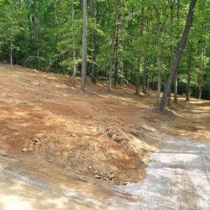 looking down driveway