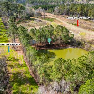 DJI_20260318110217_0141_Dp