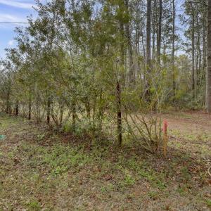 Sewer and Utility Easement