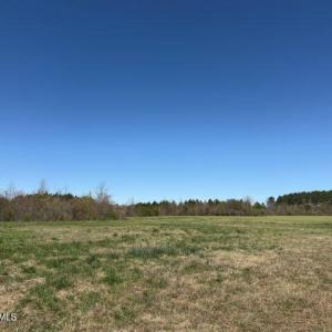 Photo Mar 17 2026, 12 29 44 PM resized