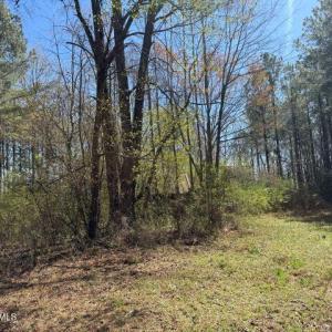 Photo Mar 17 2026, 12 24 41 PM resized