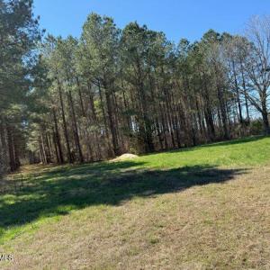 Photo Mar 17 2026, 12 23 15 PM resize