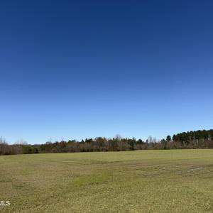 Photo Mar 17 2026, 12 30 57 PM