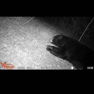 Photo Mar 29 2026, 11 09 40 AM (19)