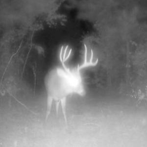 Photo Mar 29 2026, 11 09 40 AM (13)