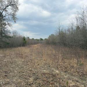 Photo Mar 27 2026, 2 52 23 PM resized